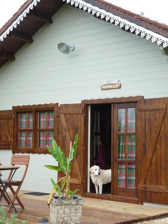 Le Trot'In Chair Bed and Breakfast Martigny-le-Comte Camera foto