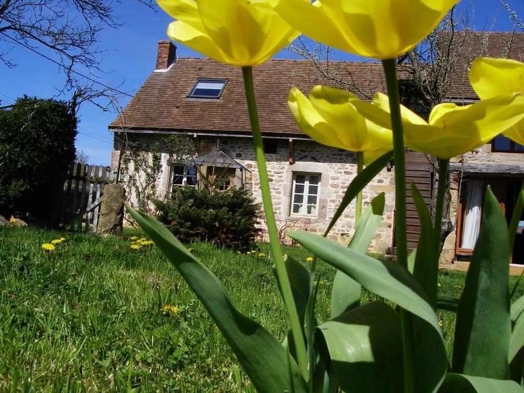 Le Trot'In Chair Bed and Breakfast Martigny-le-Comte Esterno foto