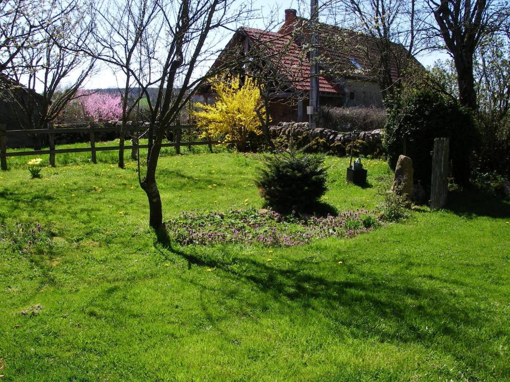 Le Trot'In Chair Bed and Breakfast Martigny-le-Comte Esterno foto