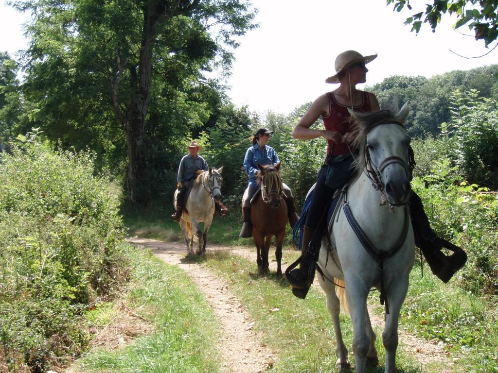 Le Trot'In Chair Bed and Breakfast Martigny-le-Comte Esterno foto