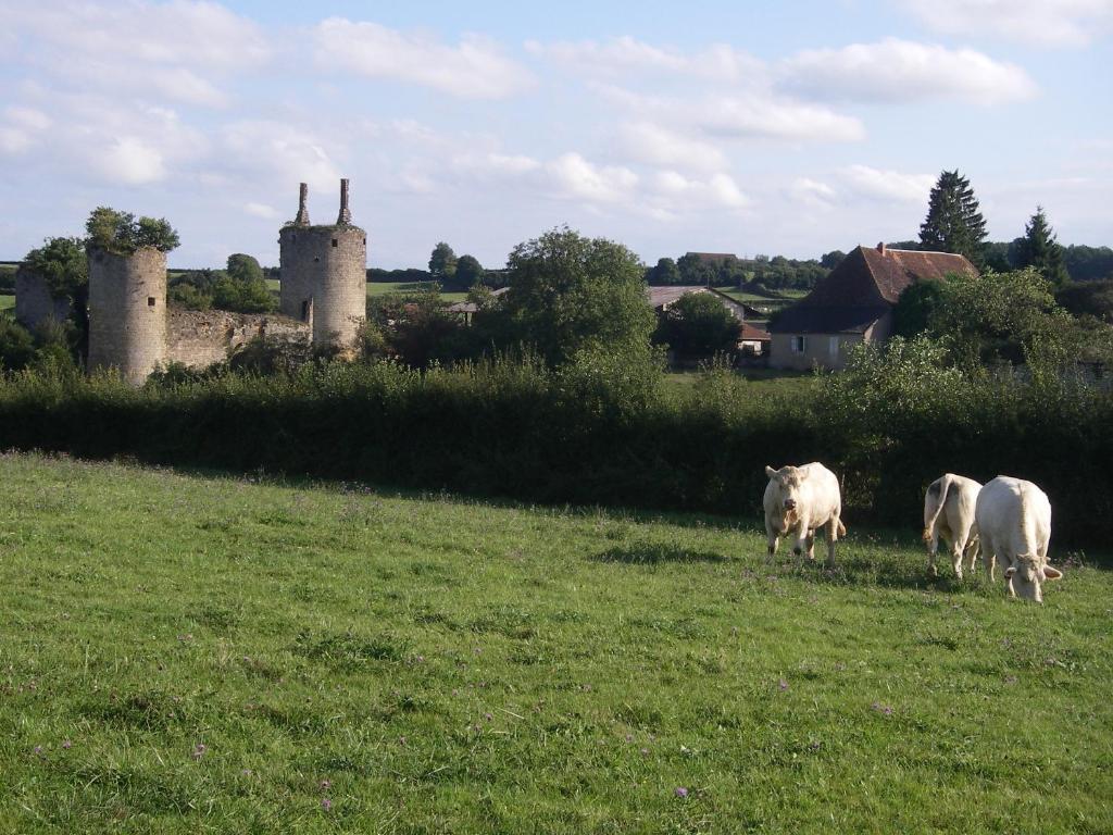 Le Trot'In Chair Bed and Breakfast Martigny-le-Comte Esterno foto
